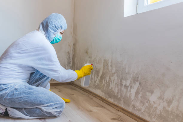Bathroom Mold Removal assessment in Geneva bathroom